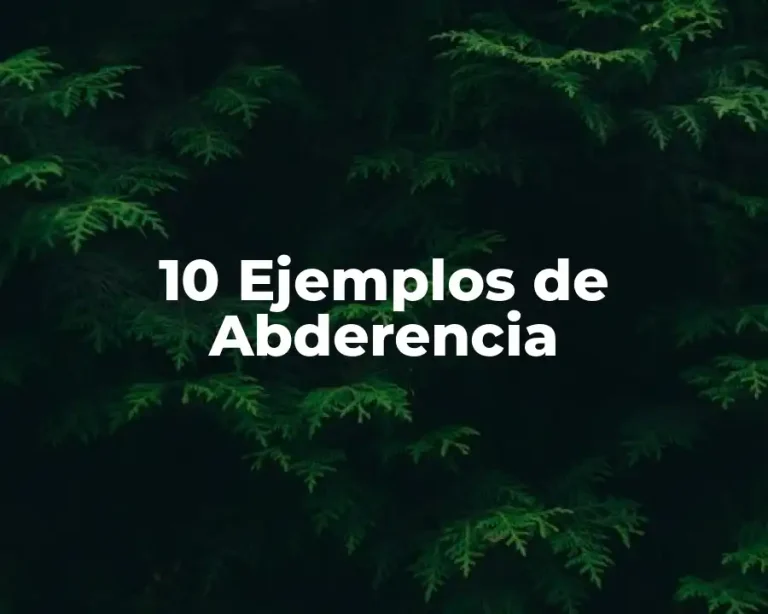 10 Ejemplos de Abderencia