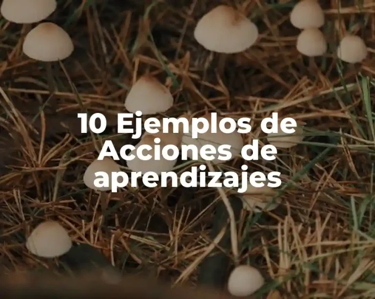 10 Ejemplos de Acciones de aprendizajes