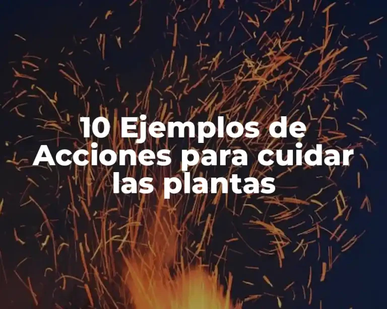10 Ejemplos de Acciones para cuidar las plantas