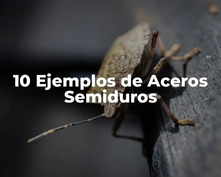 10 Ejemplos de Aceros Semiduros