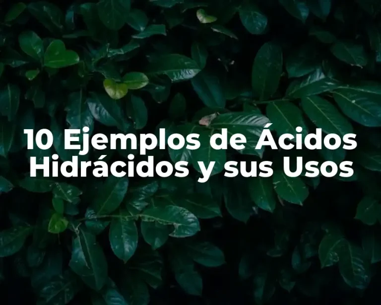 10 Ejemplos de Ácidos Hidrácidos y sus Usos