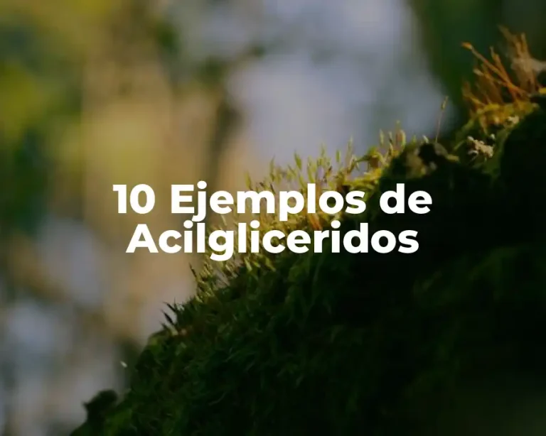 10 Ejemplos de Acilgliceridos