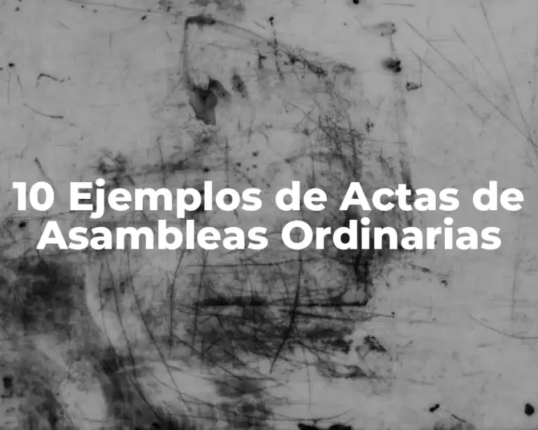 10 Ejemplos de Actas de Asambleas Ordinarias
