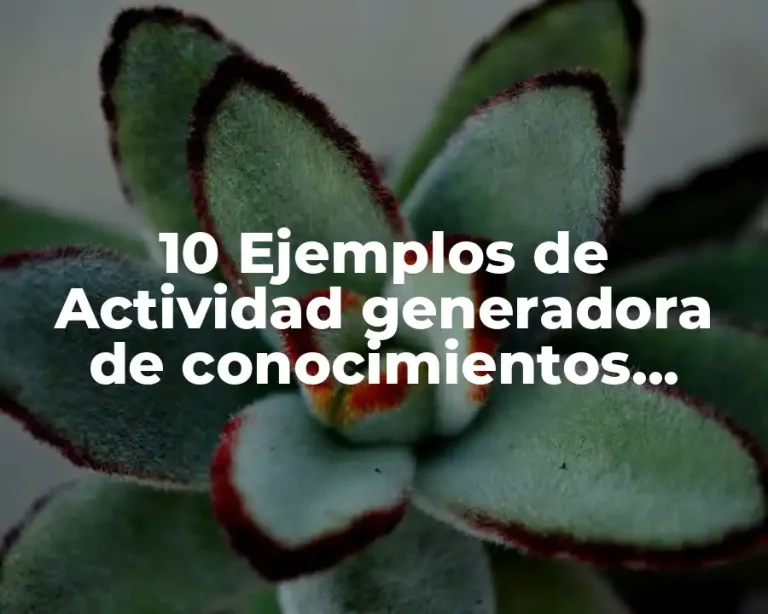 10 Ejemplos de Actividad generadora de conocimientos previos