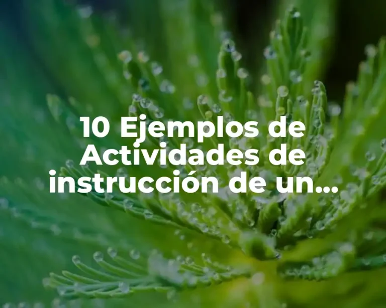 10 Ejemplos de Actividades de instrucción de un programa de capacitación
