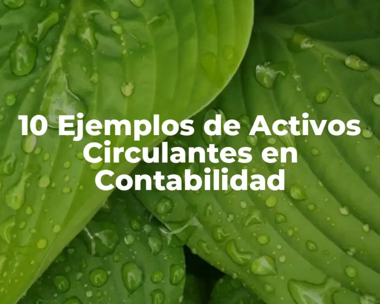 10 Ejemplos de Activos Circulantes en Contabilidad