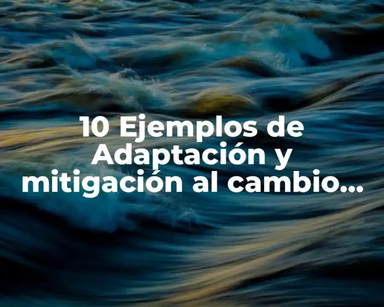 10 Ejemplos de Adaptación y mitigación al cambio climático
