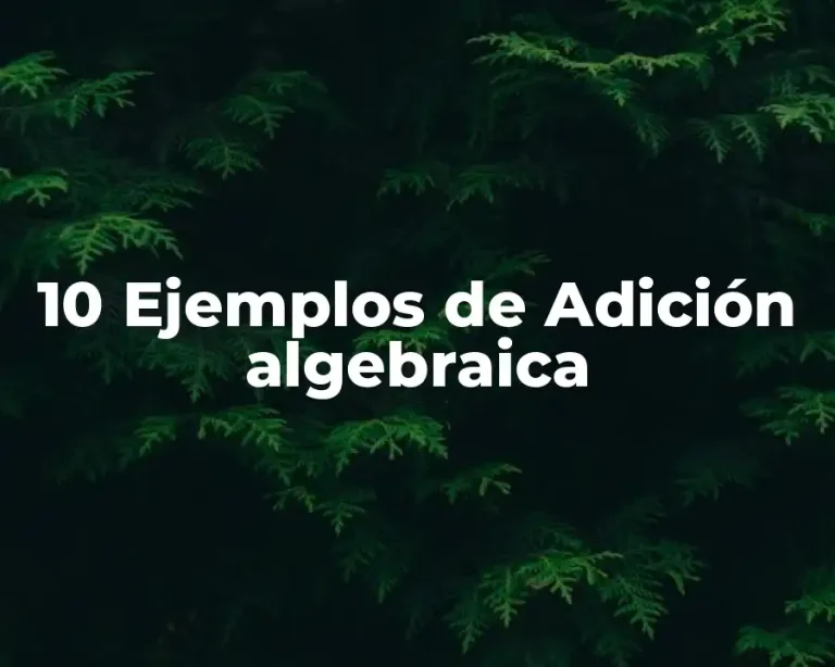 10 Ejemplos de Adición algebraica