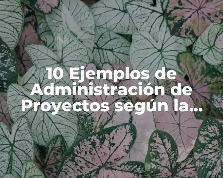 10 Ejemplos de Administración de Proyectos según la película de bichos