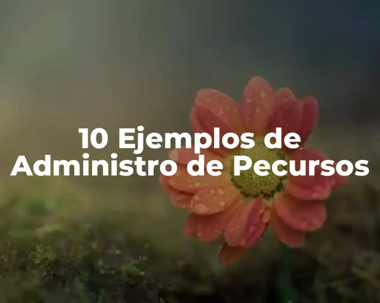 10 Ejemplos de Administro de Pecursos