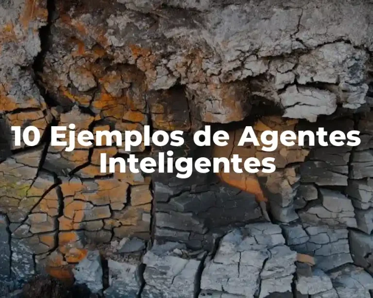 10 Ejemplos de Agentes Inteligentes