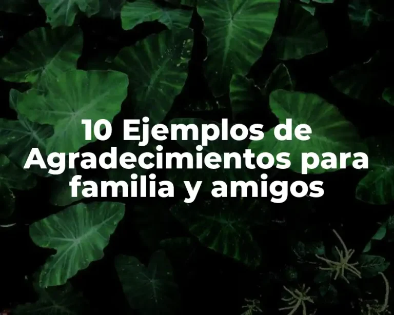 10 Ejemplos de Agradecimientos para familia y amigos