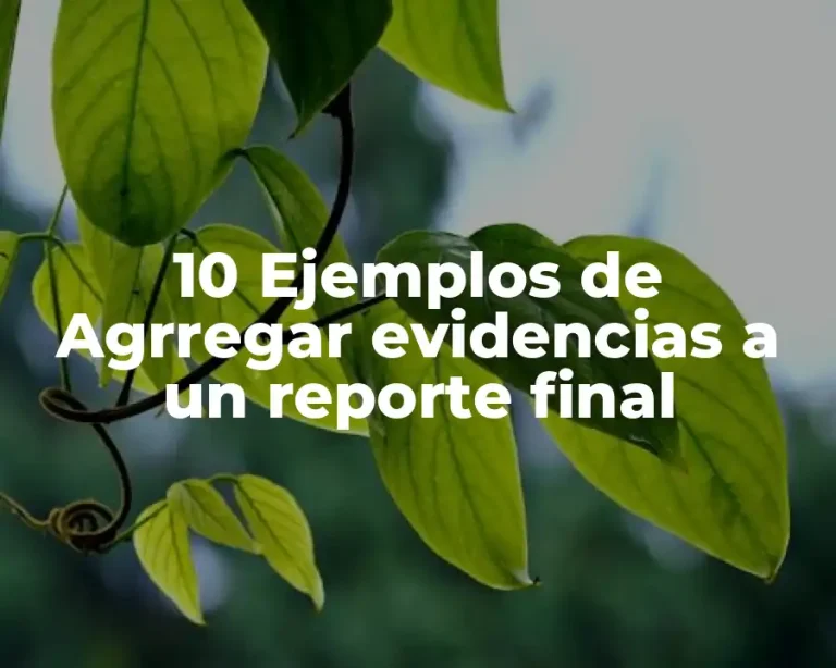 10 Ejemplos de Agrregar evidencias a un reporte final