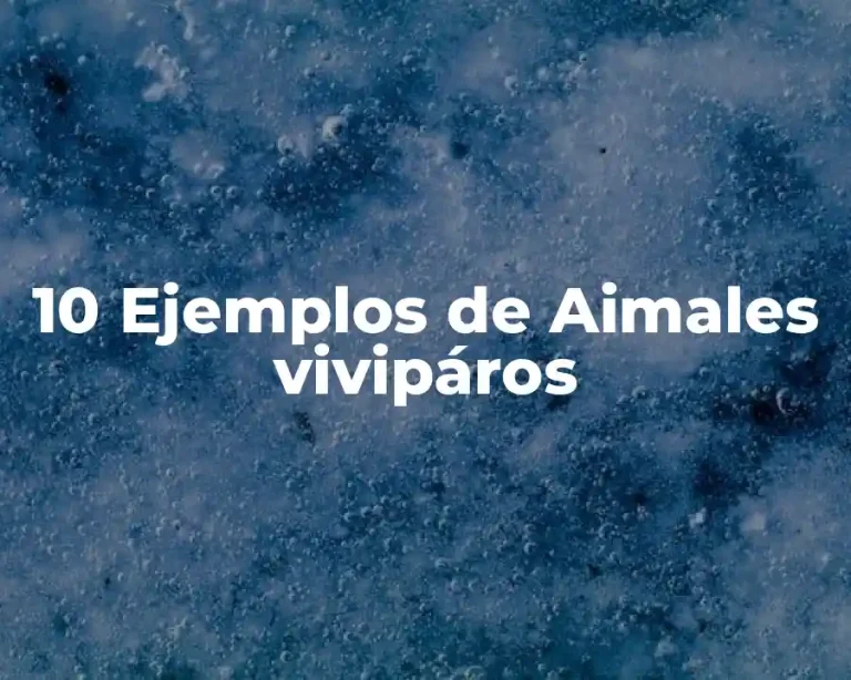 10 Ejemplos de Aimales vivipáros