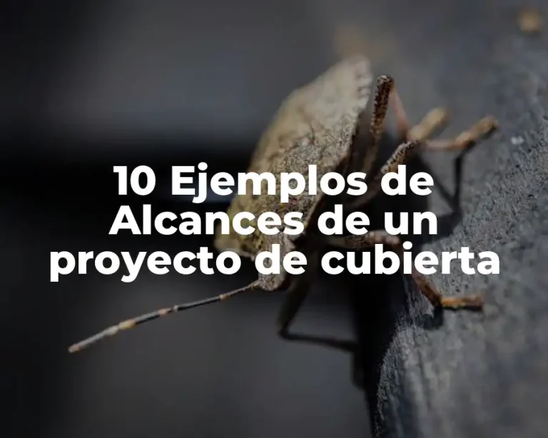 10 Ejemplos de Alcances de un proyecto de cubierta