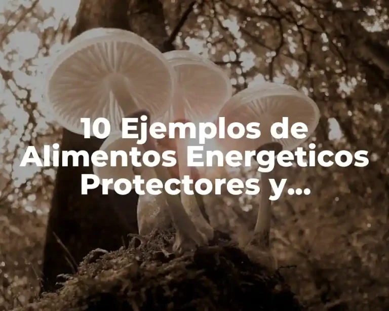 10 Ejemplos de Alimentos Energeticos Protectores y Constructores
