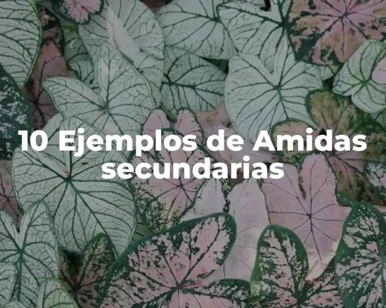 10 Ejemplos de Amidas secundarias