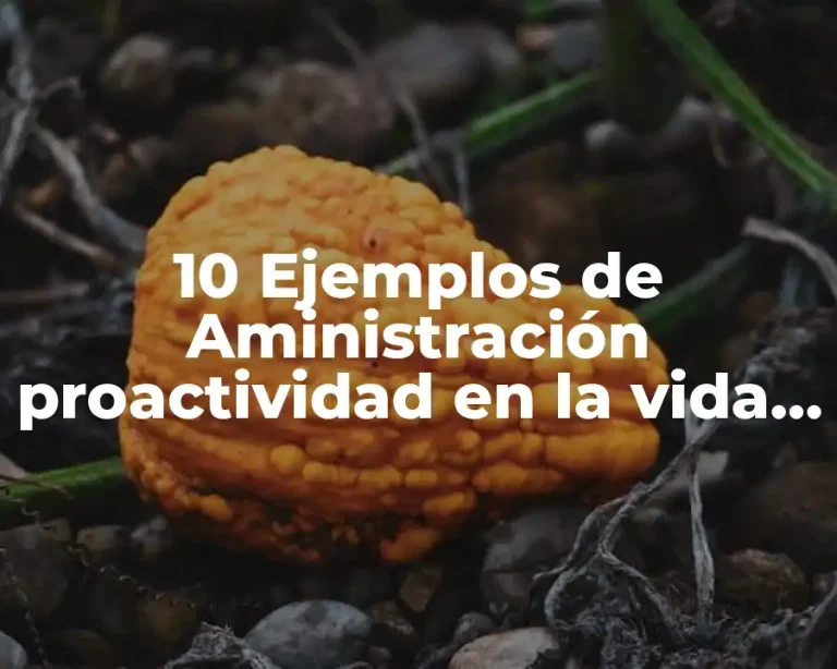 10 Ejemplos de Aministración proactividad en la vida cotidiana