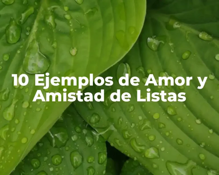 10 Ejemplos de Amor y Amistad de Listas