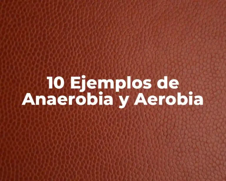 10 Ejemplos de Anaerobia y Aerobia