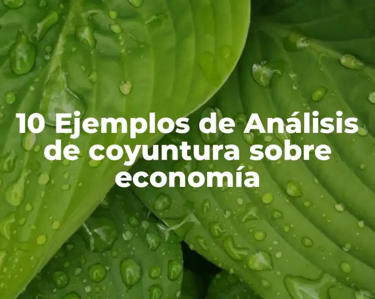 10 Ejemplos de Análisis de coyuntura sobre economía