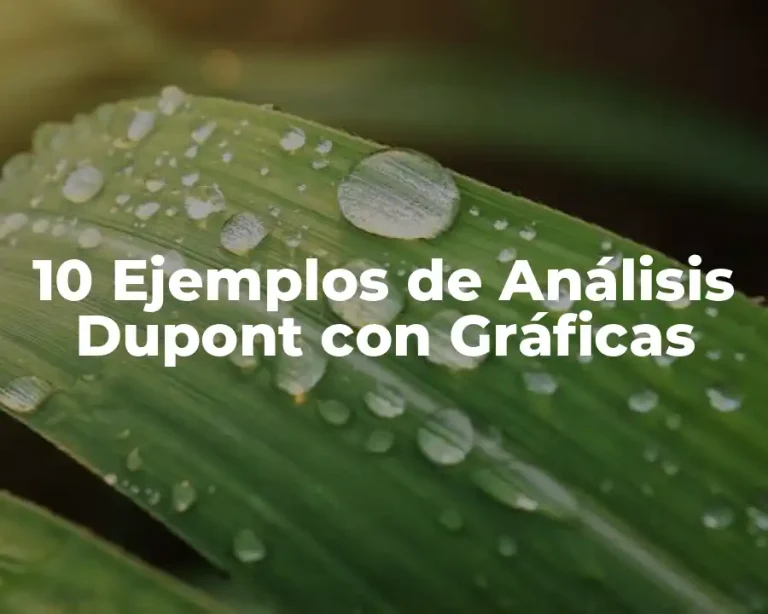 10 Ejemplos de Análisis Dupont con Gráficas