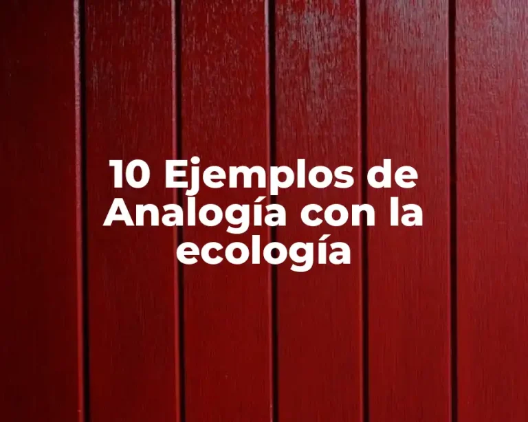 10 Ejemplos de Analogía con la ecología