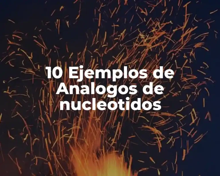 10 Ejemplos de Analogos de nucleotidos