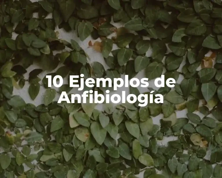 10 Ejemplos de Anfibiología
