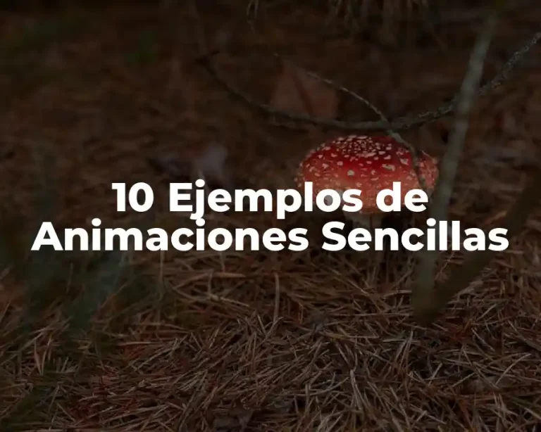 10 Ejemplos de Animaciones Sencillas