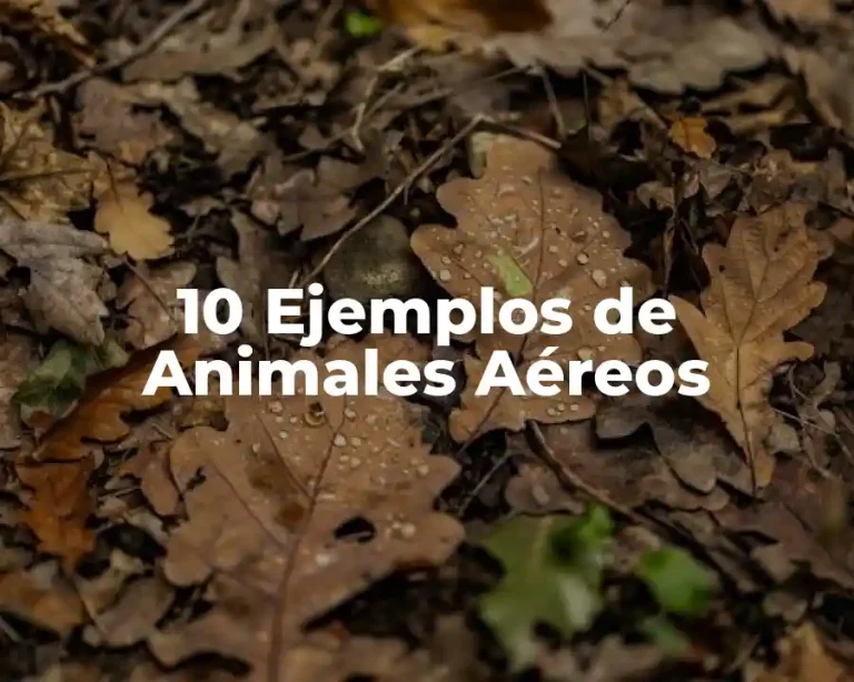 10 Ejemplos de Animales Aéreos