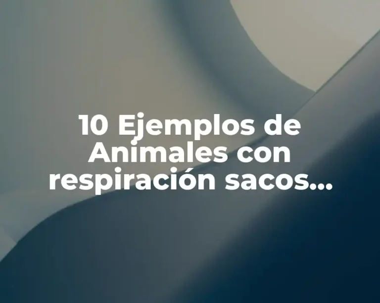 10 Ejemplos de Animales con respiración sacos aéreos