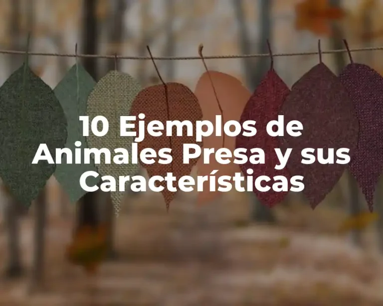10 Ejemplos de Animales Presa y sus Características