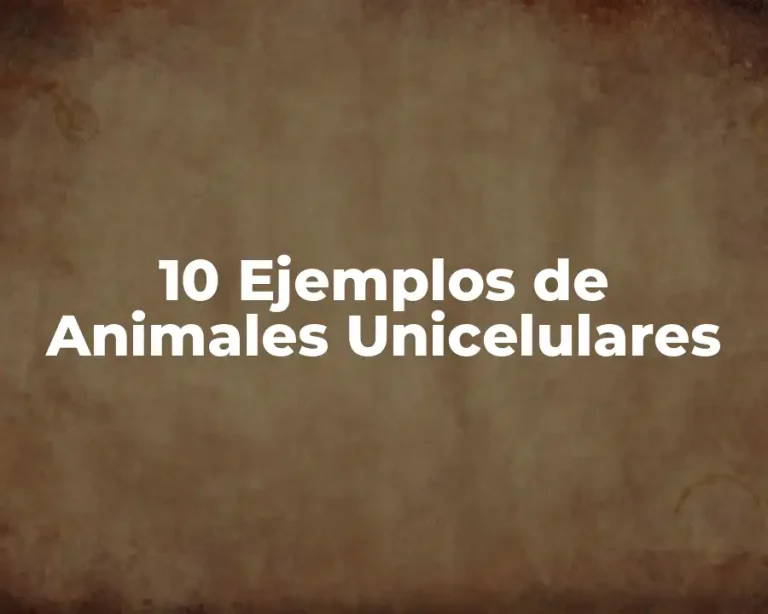10 Ejemplos de Animales Unicelulares