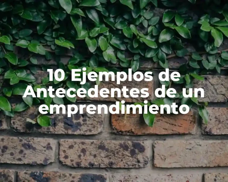 10 Ejemplos de Antecedentes de un emprendimiento