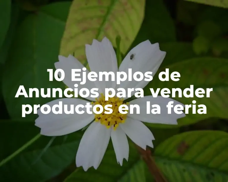10 Ejemplos de Anuncios para vender productos en la feria