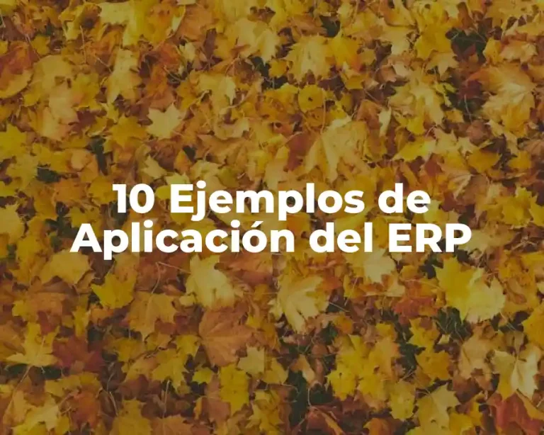 10 Ejemplos de Aplicación del ERP