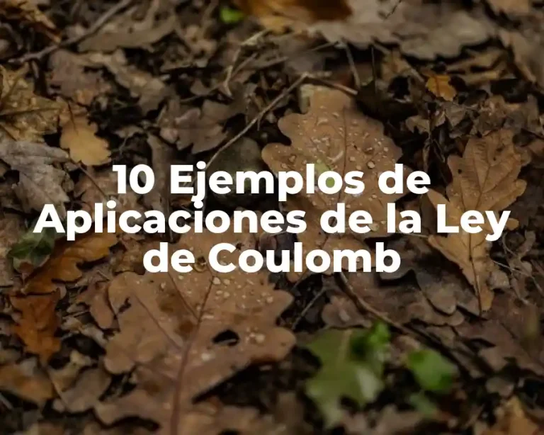 10 Ejemplos de Aplicaciones de la Ley de Coulomb
