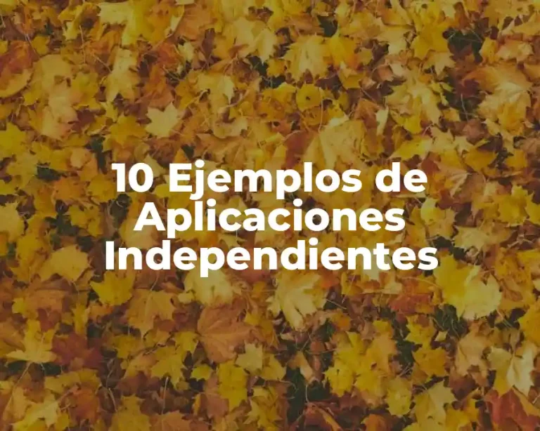 10 Ejemplos de Aplicaciones Independientes