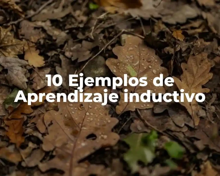 10 Ejemplos de Aprendizaje inductivo