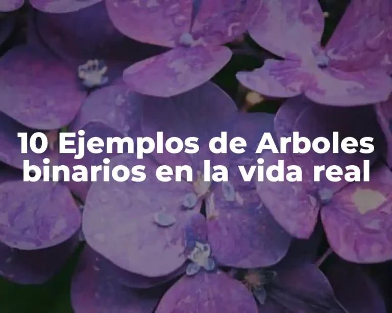10 Ejemplos de Arboles binarios en la vida real