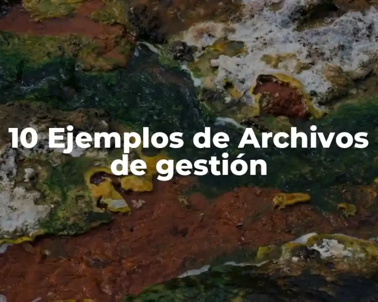 10 Ejemplos de Archivos de gestión