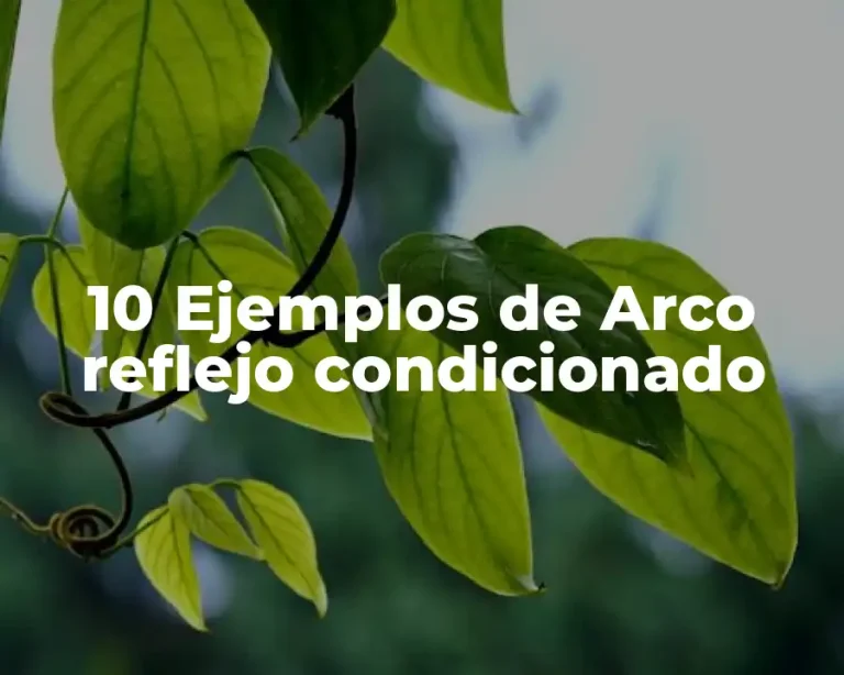 10 Ejemplos de Arco reflejo condicionado