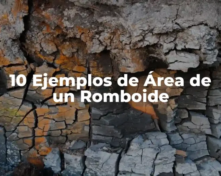 10 Ejemplos de Área de un Romboide