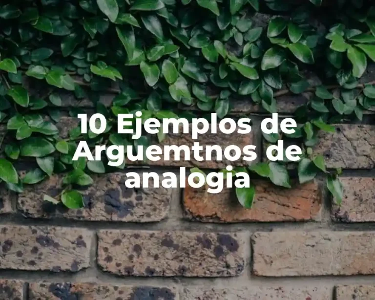 10 Ejemplos de Arguemtnos de analogia