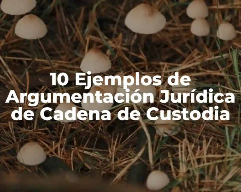 10 Ejemplos de Argumentación Jurídica de Cadena de Custodia