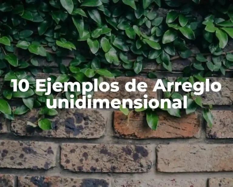 10 Ejemplos de Arreglo unidimensional