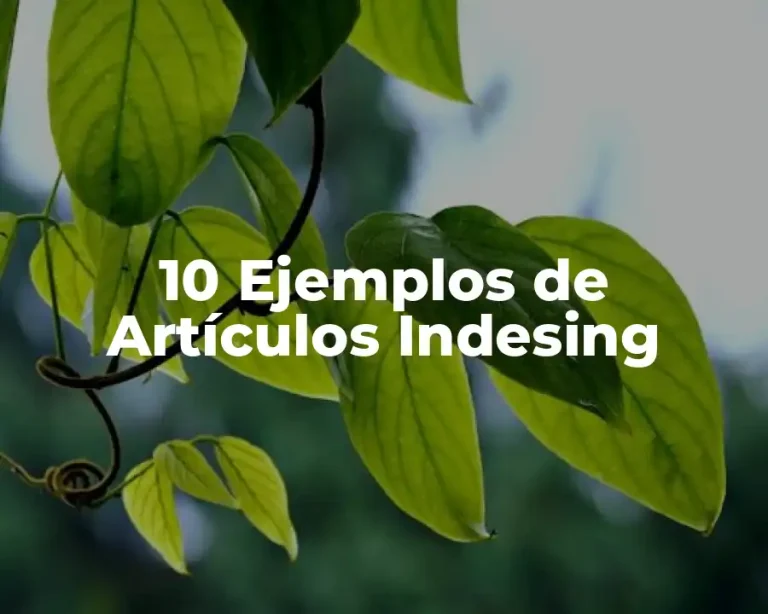 10 Ejemplos de Artículos Indesing
