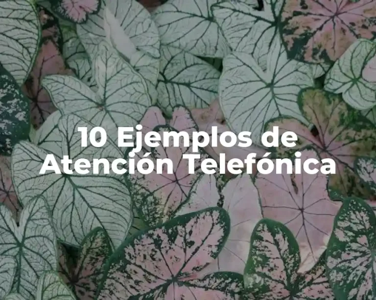 10 Ejemplos de Atención Telefónica