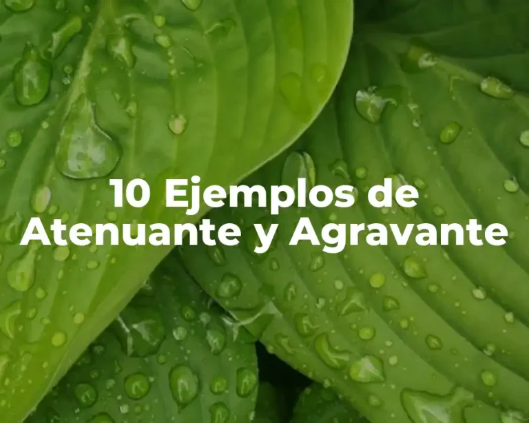 10 Ejemplos de Atenuante y Agravante